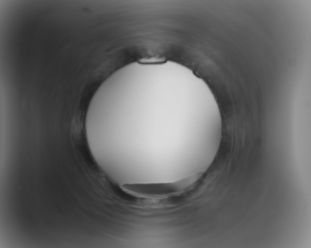 X0000088680129200706281950