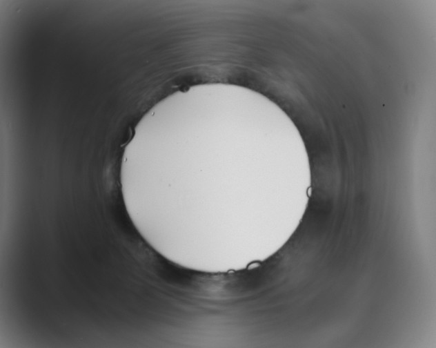 X0000088680131200706281950