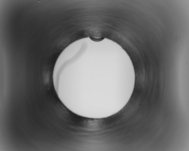 X0000088680134200706281950