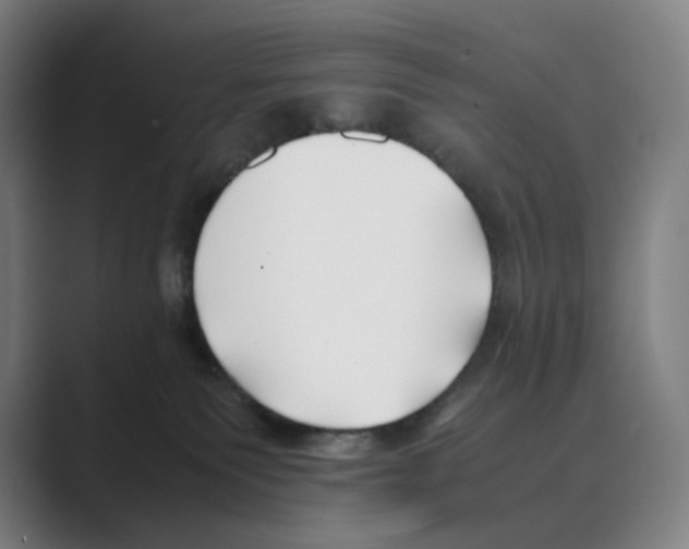 X0000088680135200706281950