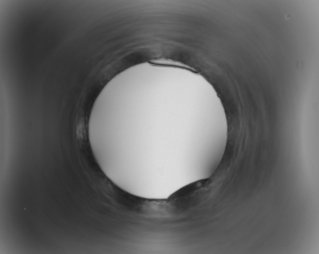 X0000088680137200706281950