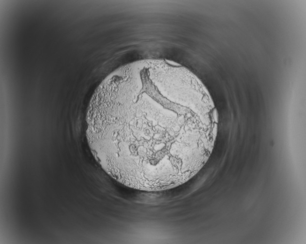 X0000088680139200706281950