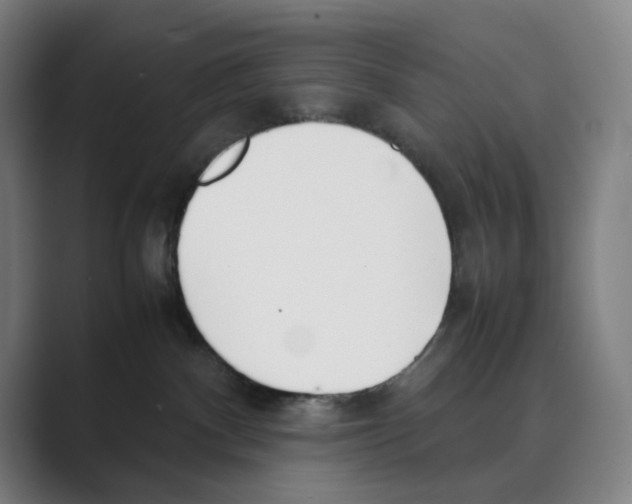 X0000088680140200706281950