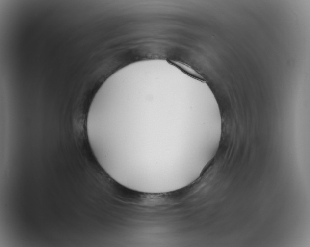 X0000088680141200706281950