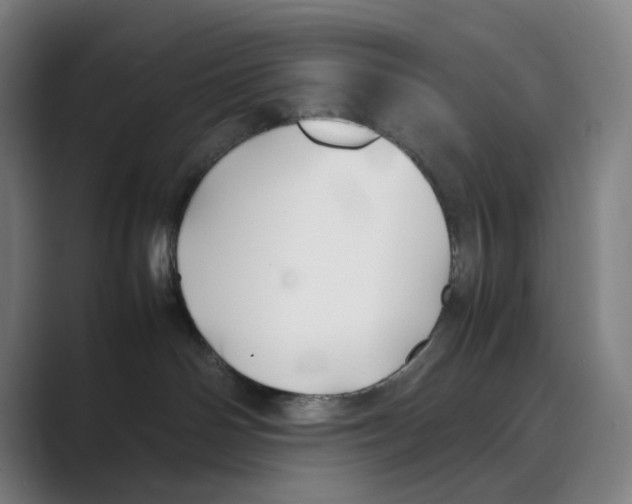 X0000088680142200706281950