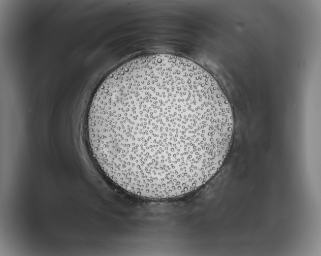 X0000088680145200706281949