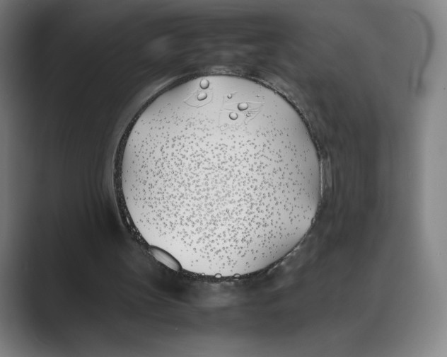 X0000088680147200706281949