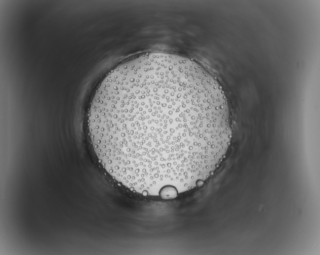 X0000088680149200706281949