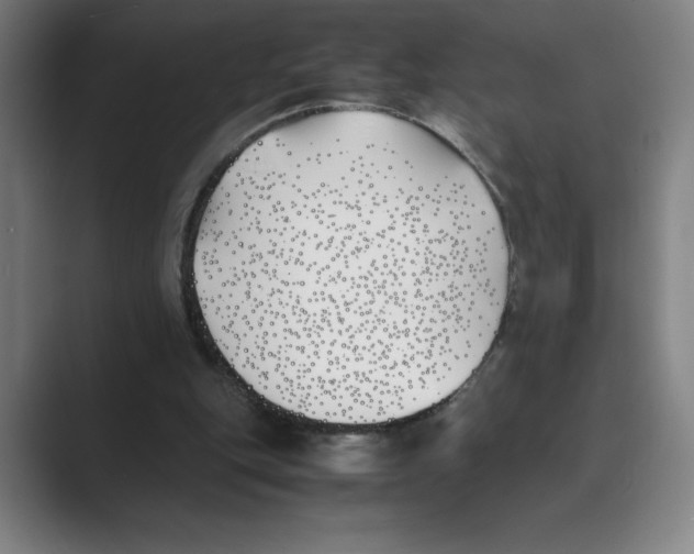 X0000088680151200706281949