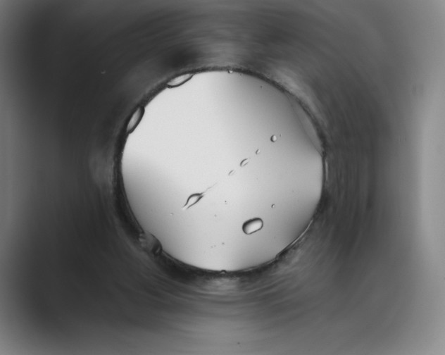 X0000088680156200706281949