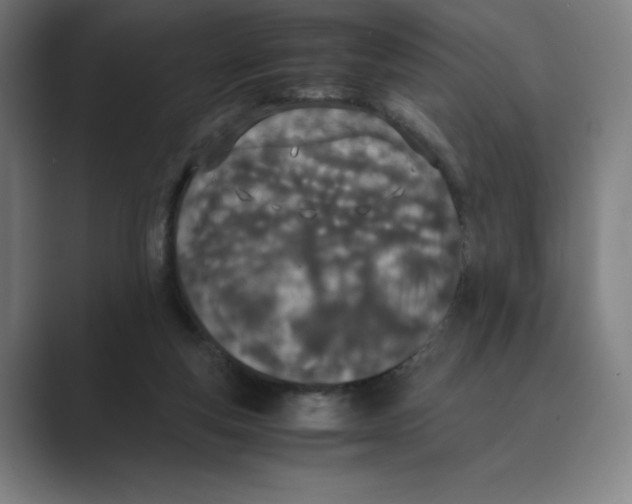 X0000088680163200706281949