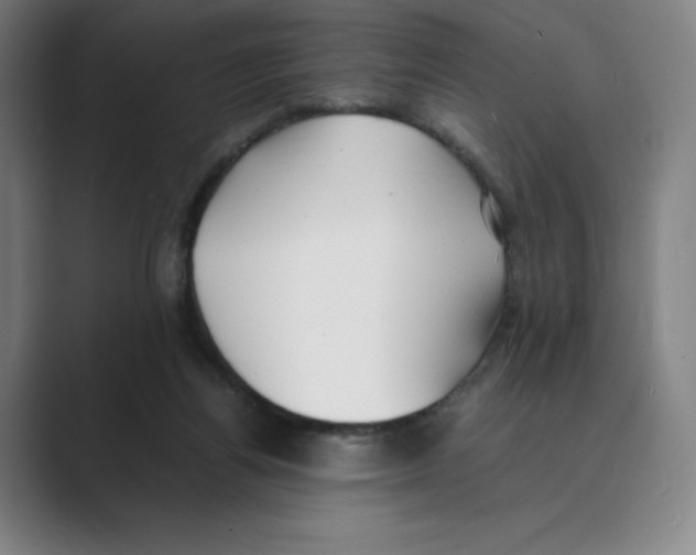 X0000088680164200706281949