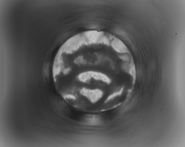 X0000088680167200706281949