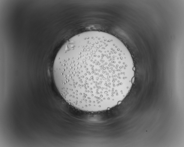 X0000088680169200706281949