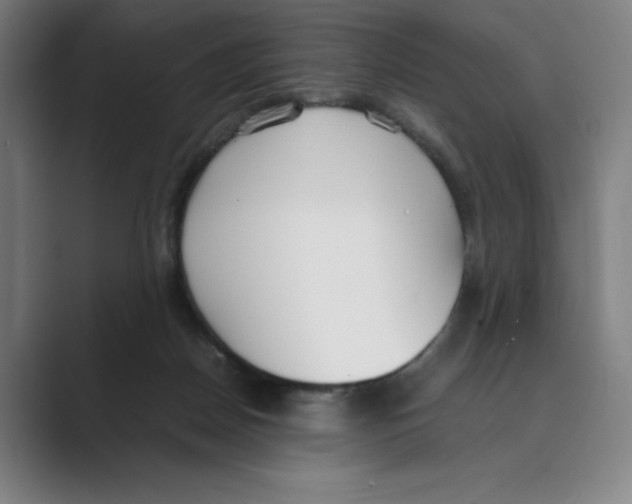 X0000088680170200706281949