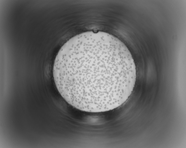 X0000088680171200706281949