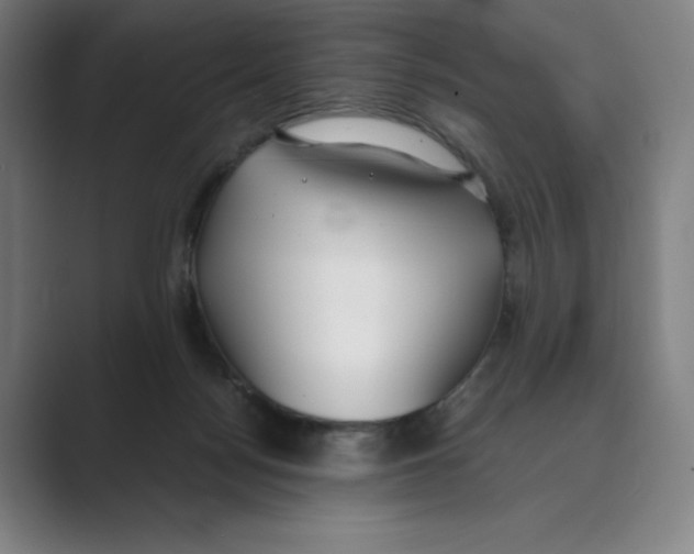 X0000088680172200706281949