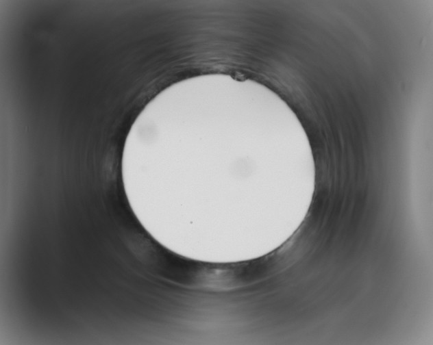 X0000088680174200706281949