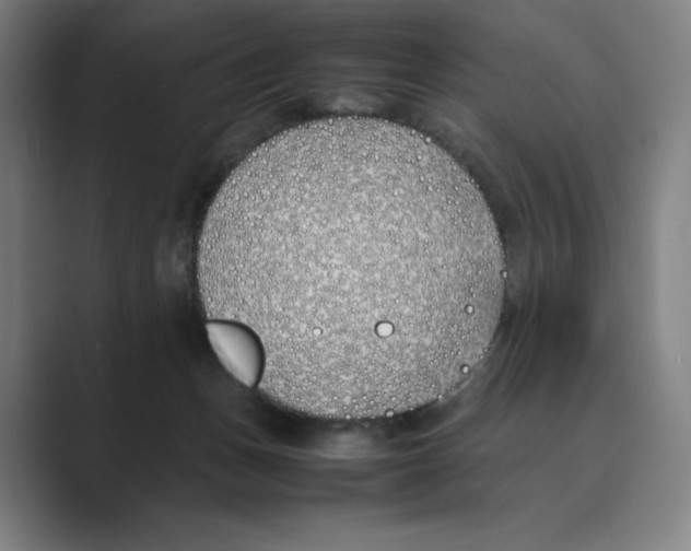 X0000088680175200706281949