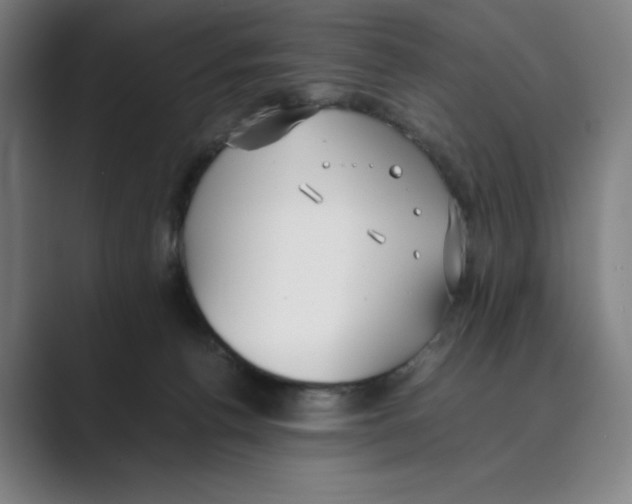 X0000088680176200706281949