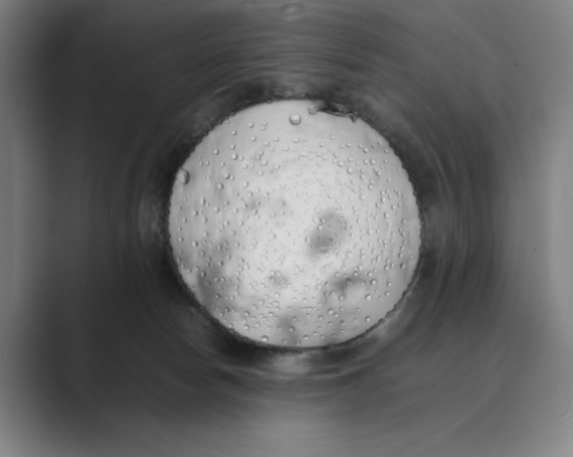 X0000088680178200706281949