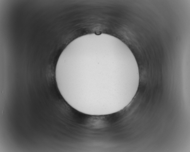 X0000088680179200706281949