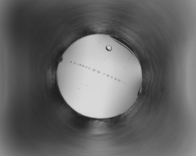 X0000088680180200706281949