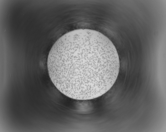 X0000088680181200706281949