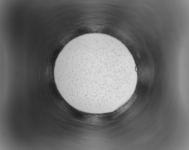 X0000088680182200706281950