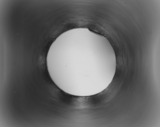 X0000088680184200706281950