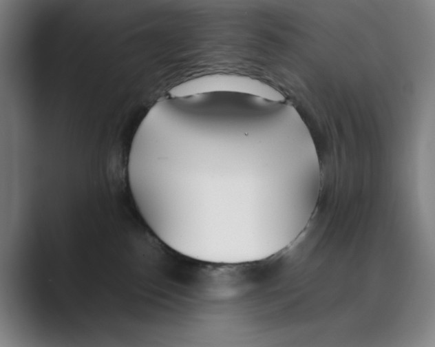 X0000088680186200706281950