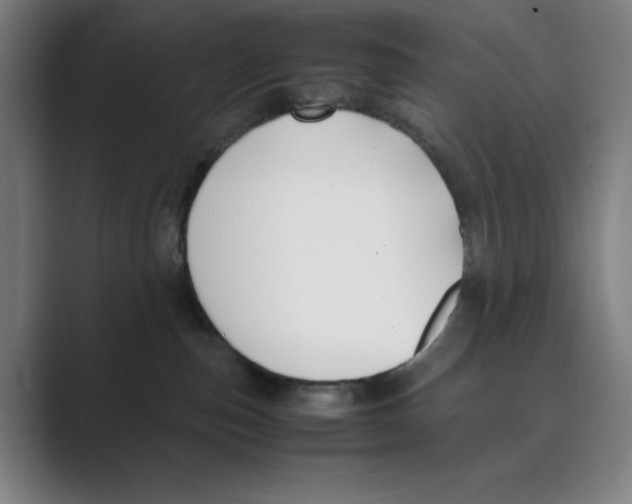 X0000088680187200706281950