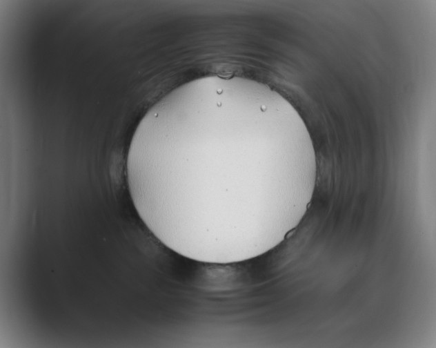 X0000088680189200706281950