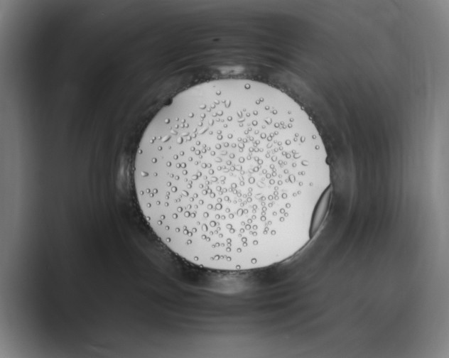 X0000088680191200706281950