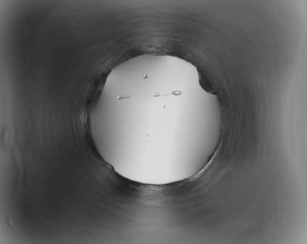 X0000088680192200706281950