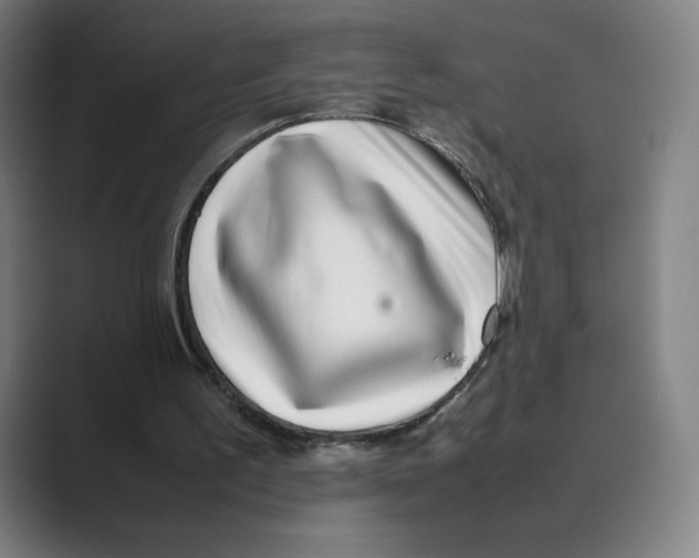 X0000088680195200706281949