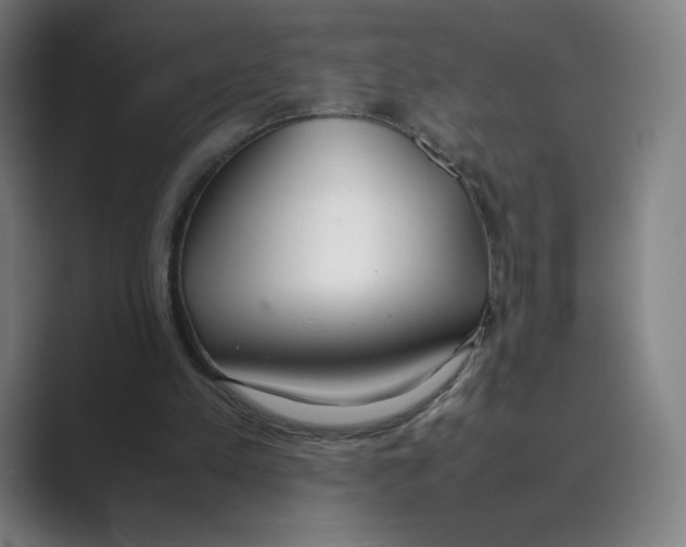 X0000088680197200706281949