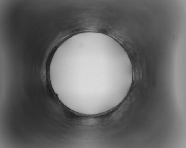 X0000088680198200706281949