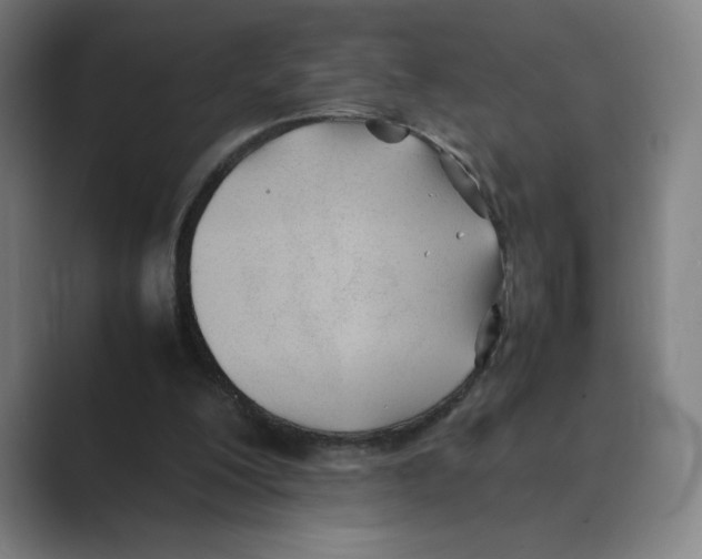 X0000088680200200706281949