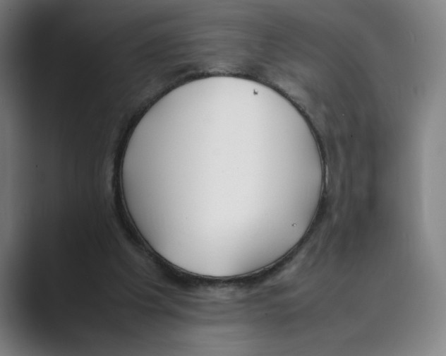 X0000088680201200706281949