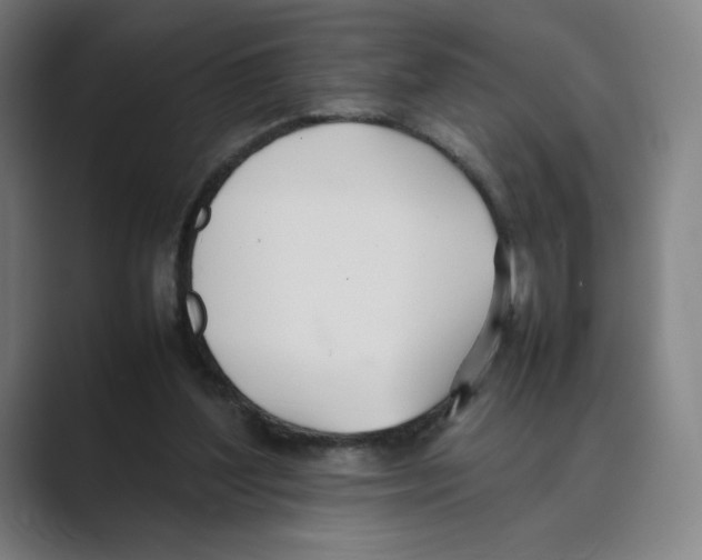 X0000088680204200706281949