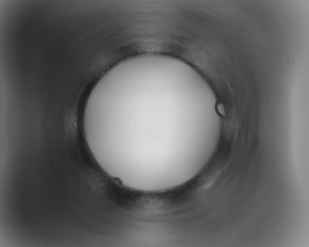 X0000088680207200706281949