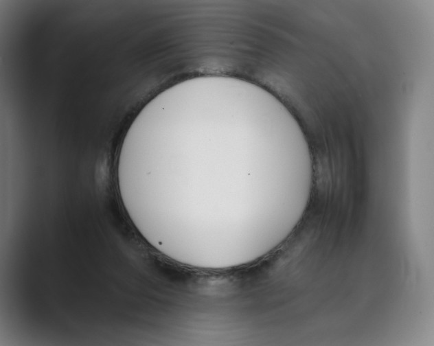 X0000088680208200706281949