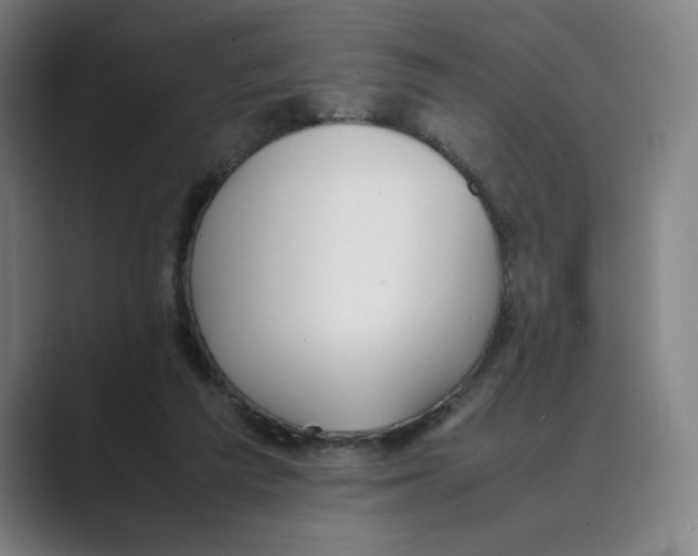 X0000088680209200706281949