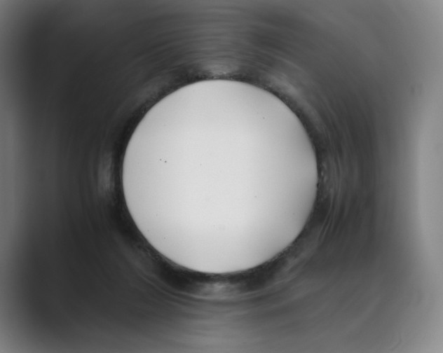 X0000088680212200706281949