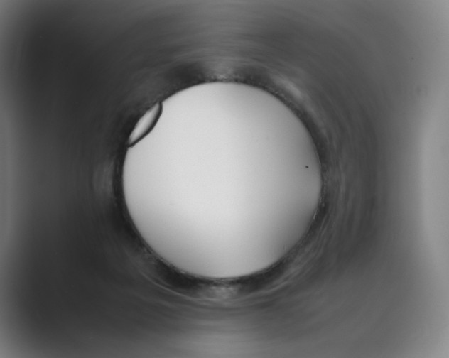 X0000088680217200706281949