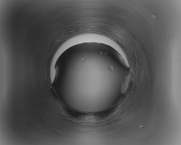 X0000088680219200706281949