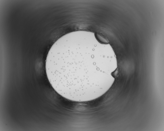 X0000088680222200706281949