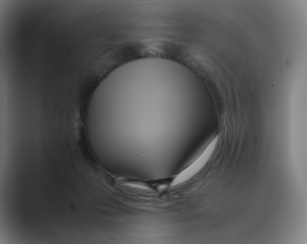 X0000088680223200706281949