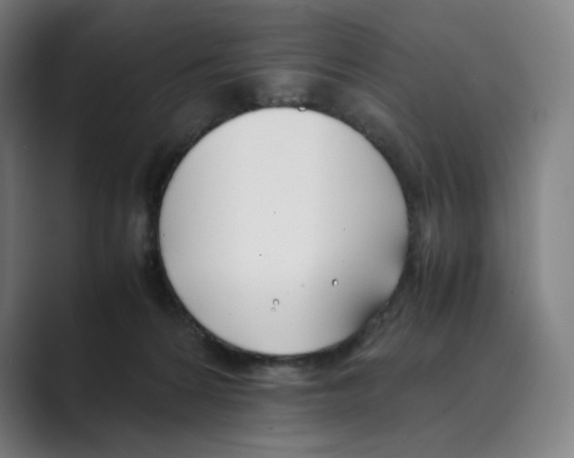 X0000088680224200706281949